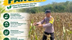 Dukung Ketahanan Pangan, Polsek Bangilan Sambang Petani Jagung