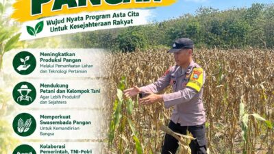 Dukung Ketahanan Pangan, Polsek Bangilan Sambang Petani Jagung