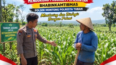 Polsek Montong Polresta Tuban Turun Cek Tanaman jagung Warga di Desa Ngulahan