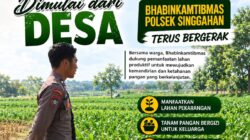 Anggota Polsek Singgahan Polresta Tuban Turun Cek Tanaman jagung Warga di Desa Tingkis