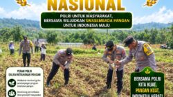 DALAM RANGKA MENDUKUNG KETAHANAN PANGAN DAN ASTACITA PRESIDEN RI, ANGGOTA POLSEK PARENGAN POLRESTA TUBAN MENANAM JAGUNG DI LAHAN MILIK PETANI DI DESA SUKOREJO KECAMATAN PARENGAN.